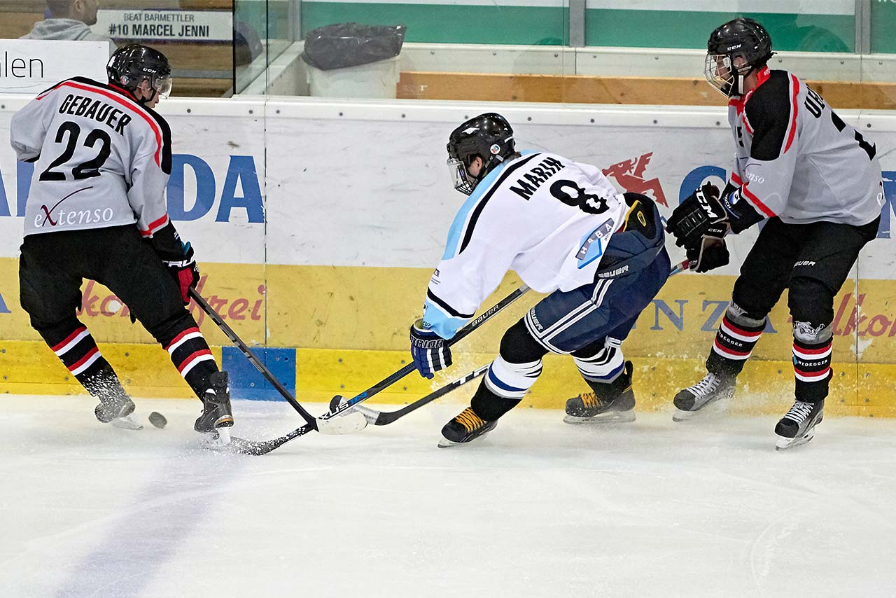 IceDogs – PolarBears Jääkarhut